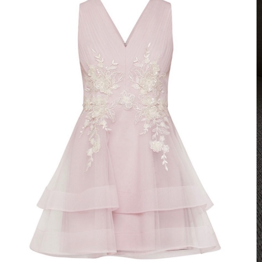 Bcbgmaxazria Embroidered Tiered Tulle Dress